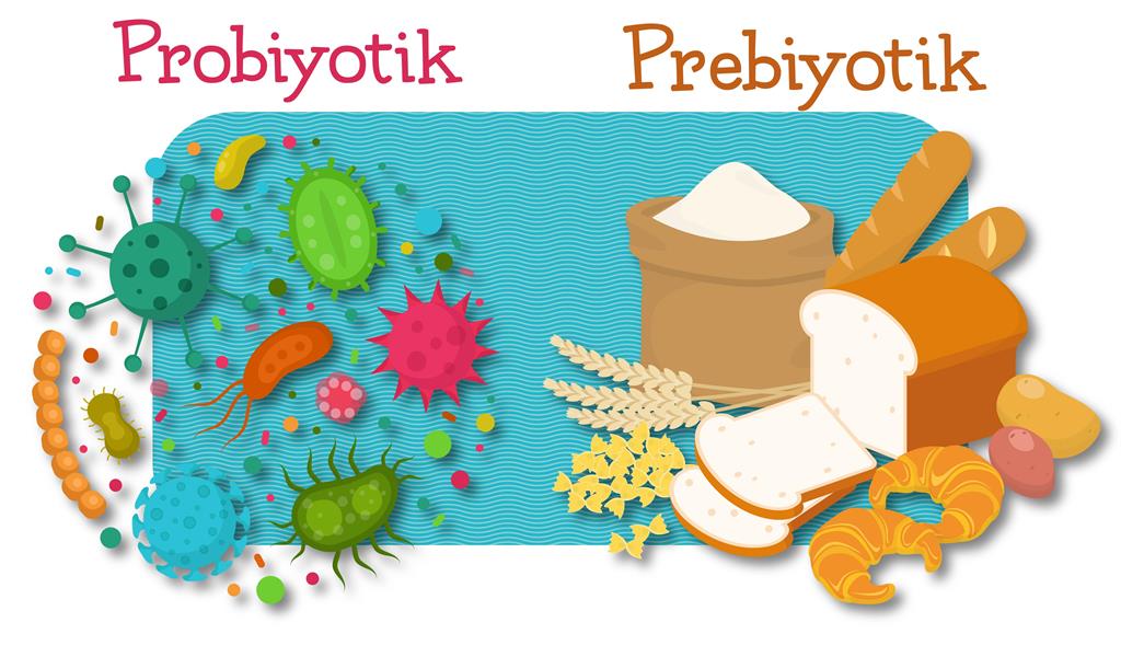 Probiyotikler ve Prebiyotikler
