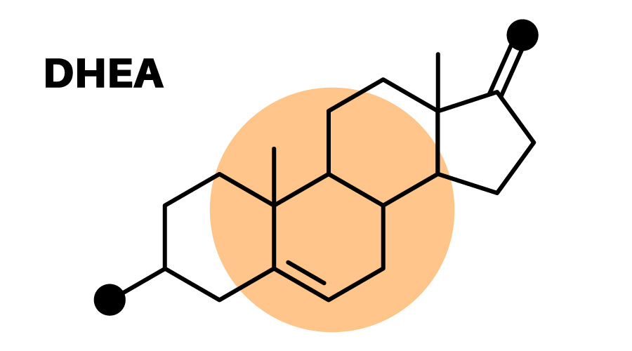 DHEA (Dehydroepiandrosterone) Nedir?